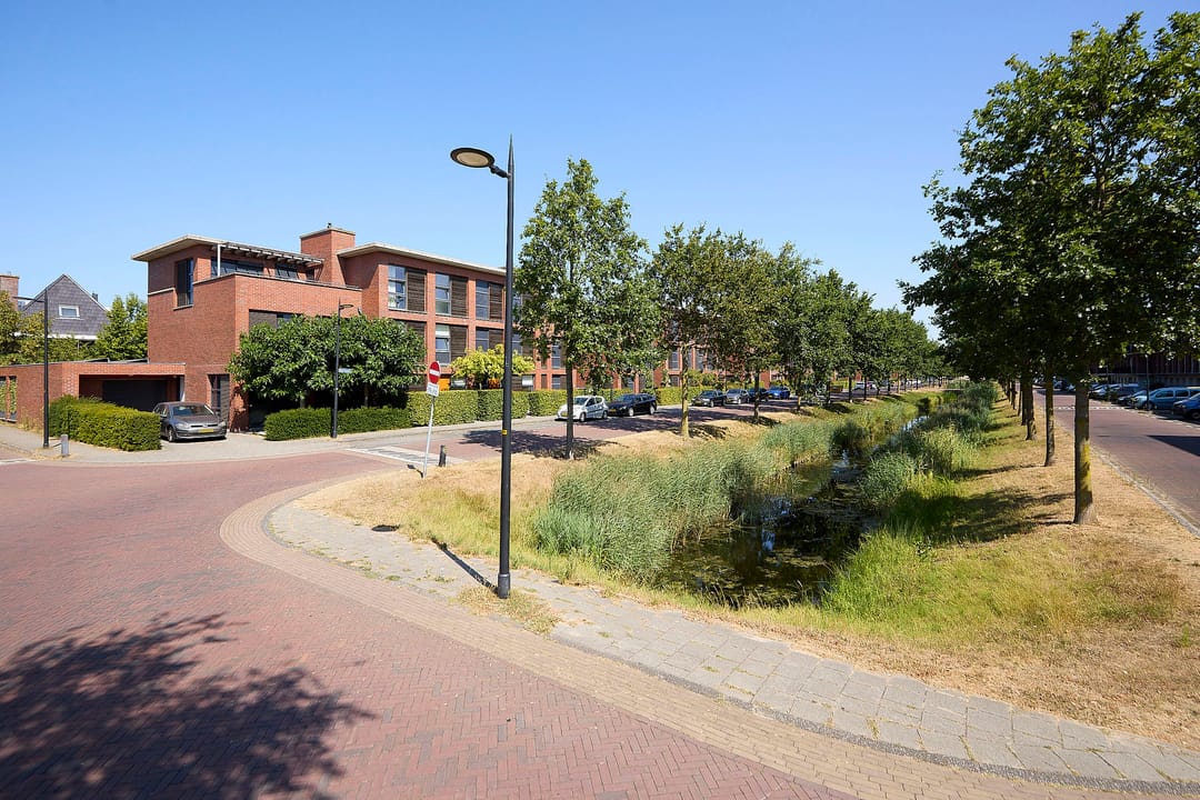 Photo 56 of Overbeek 70