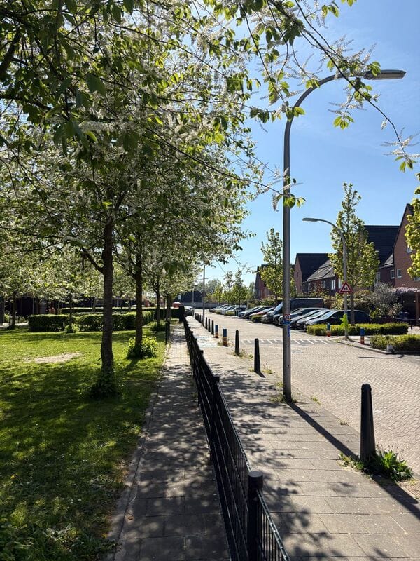 Photo 28 of Van Veendijk 38