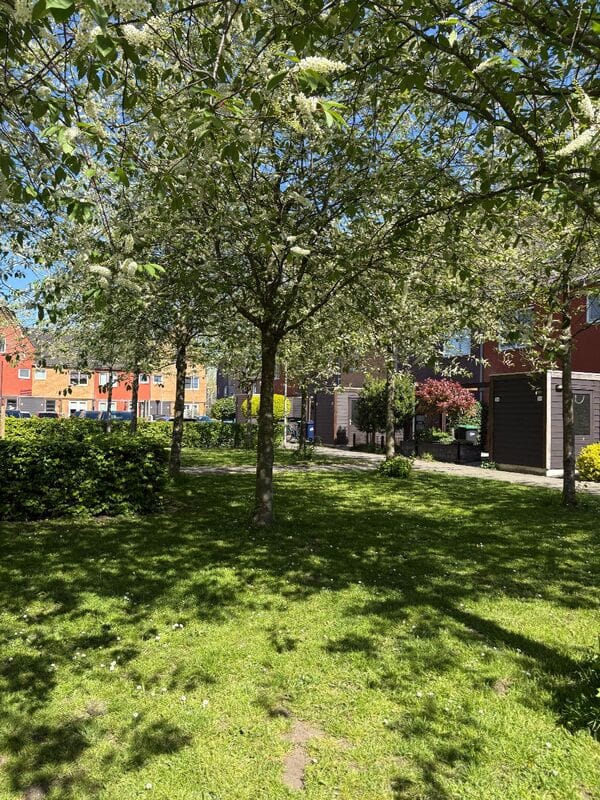 Photo 25 of Van Veendijk 38