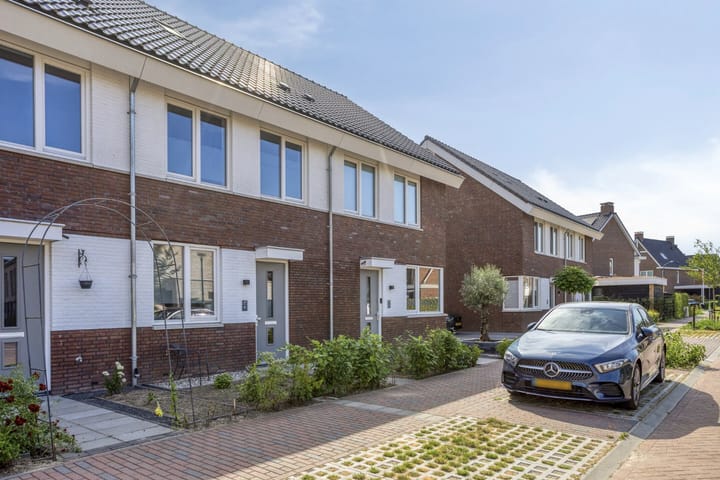 Foto 5 van Reuzenotter 8