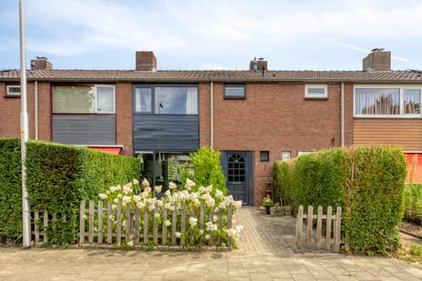 Reijersstraat thumbnail