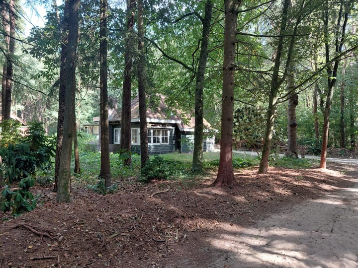 Foto 5 van Langeloërduinen G 15