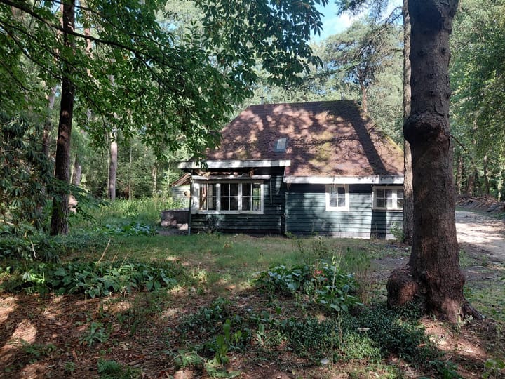 Foto 3 van Langeloërduinen G 15