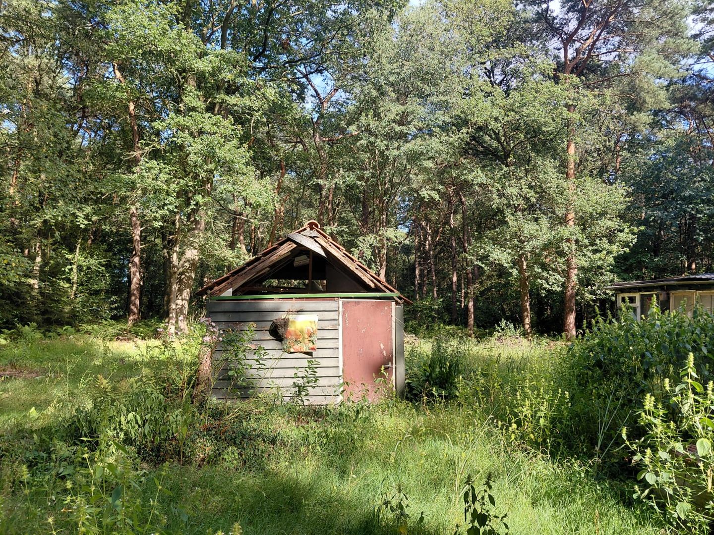 Foto 20 van Langeloërduinen G 15