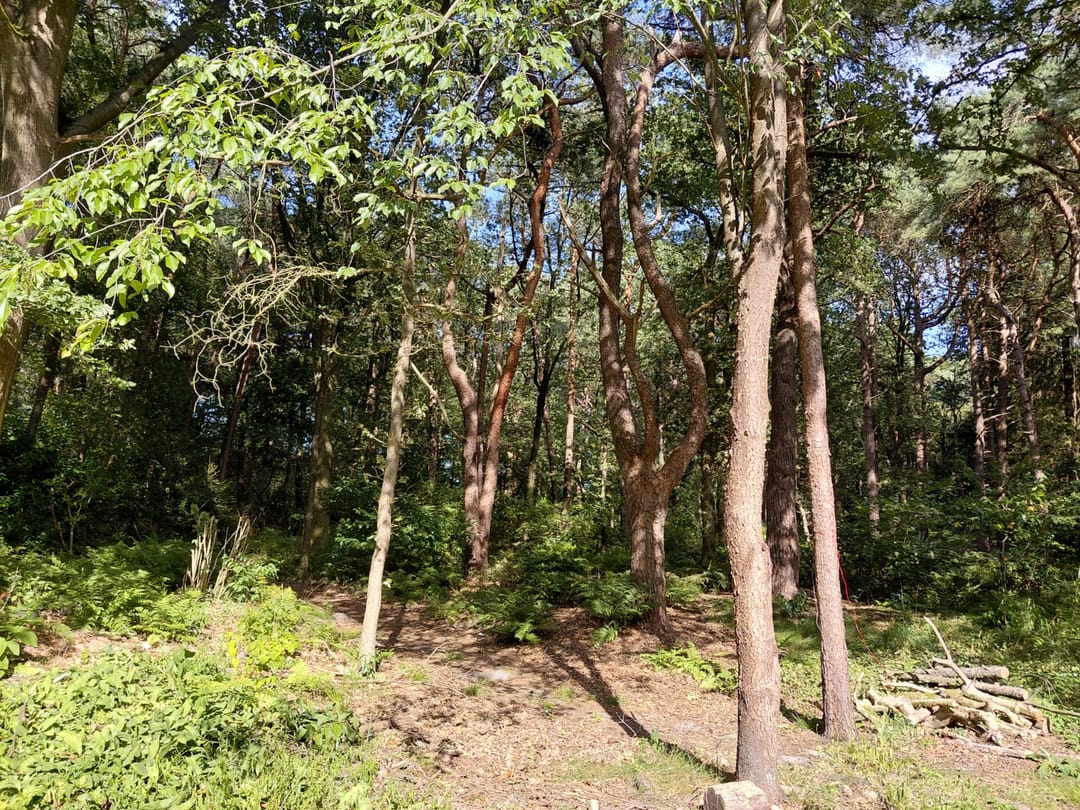 Foto 17 van Langeloërduinen G 15