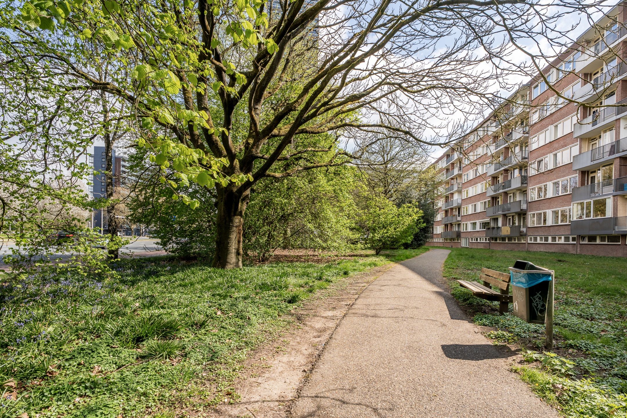 Cederstraat 31 