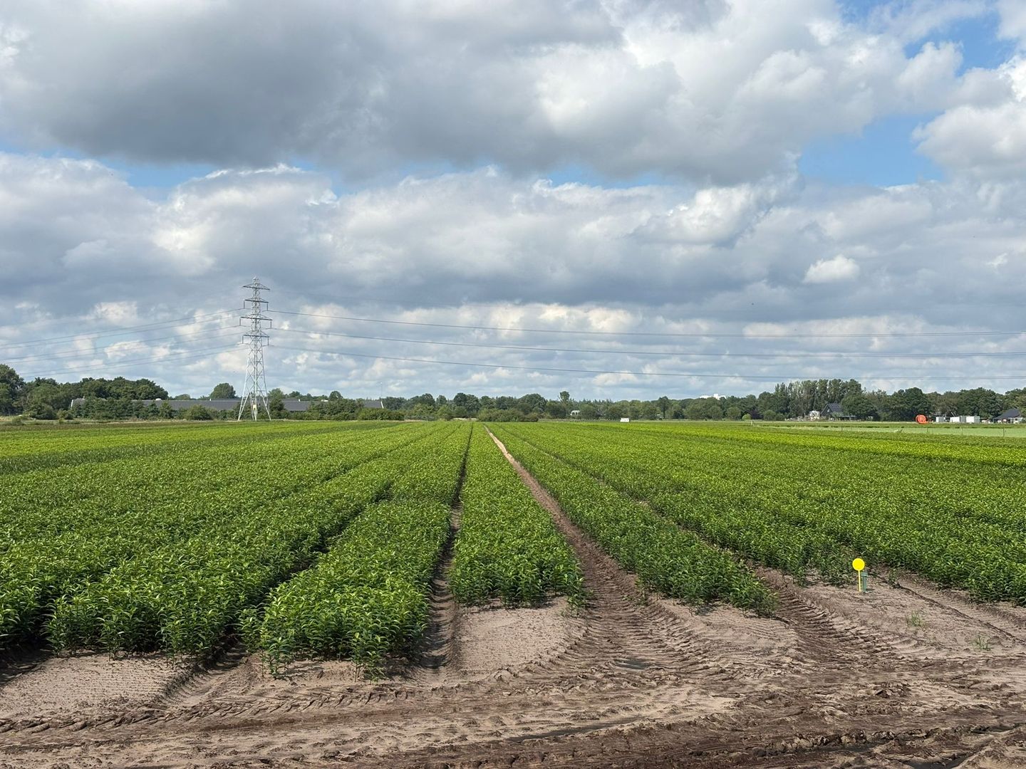 Brugveenseweg - Voorthuizen - Afbeelding 1