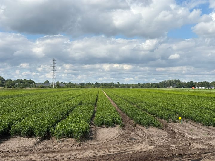 Brugveenseweg, Voorthuizen