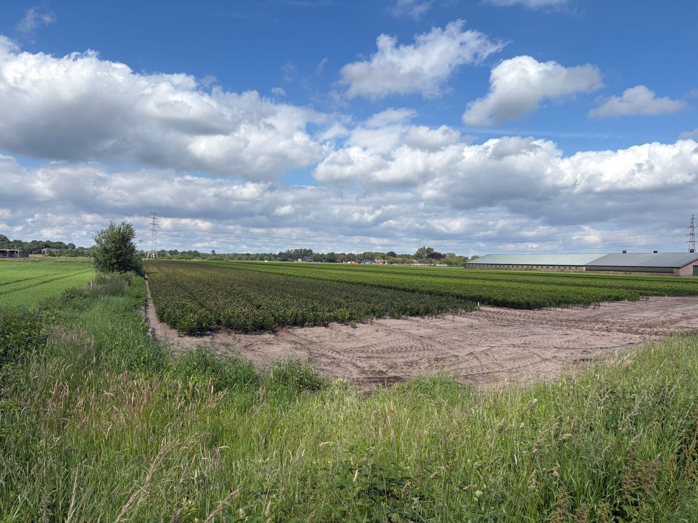 Brugveenseweg - Voorthuizen - Afbeelding 7