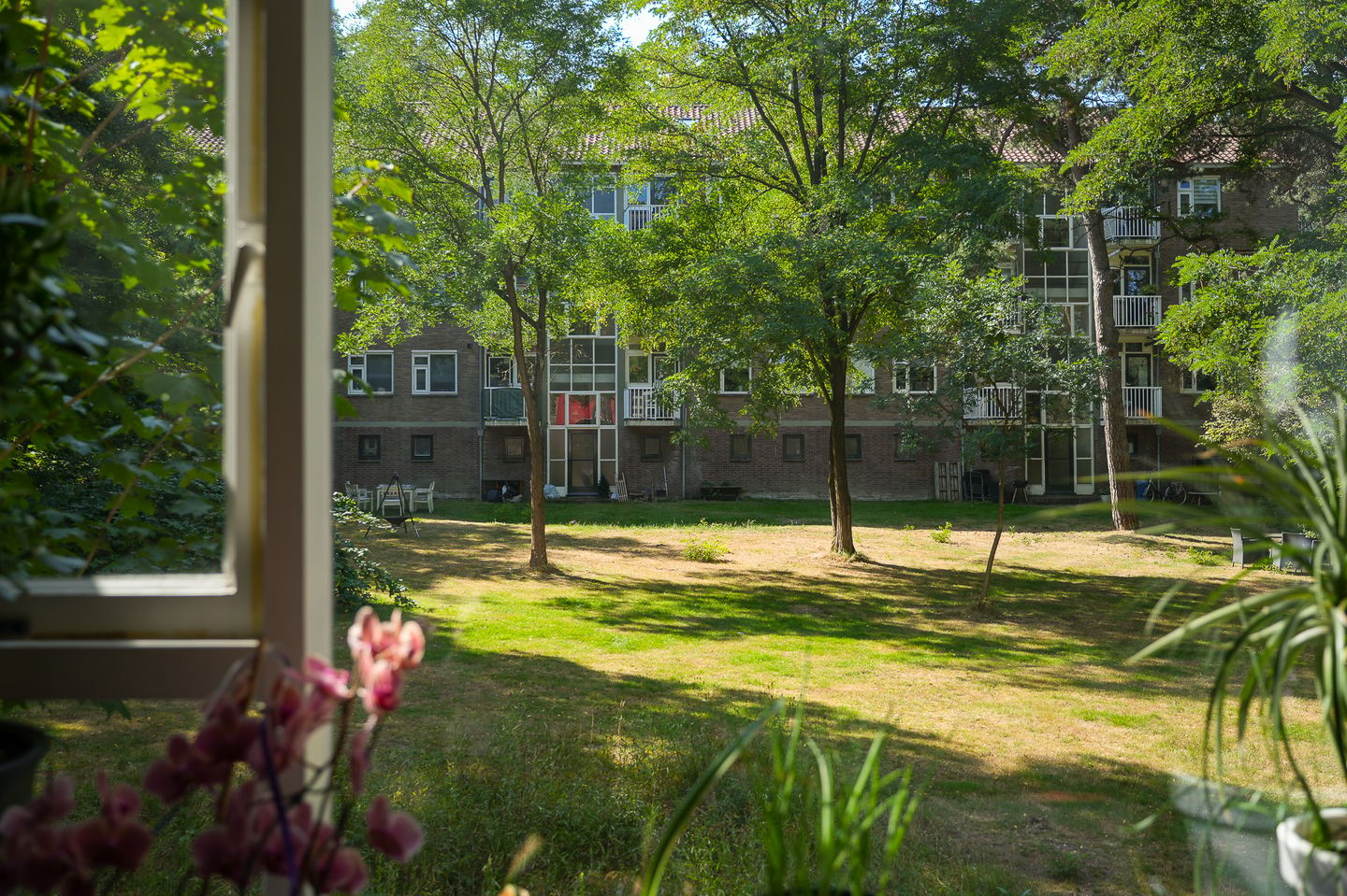 Photo 5 of Cort van der Lindenlaan 40-A