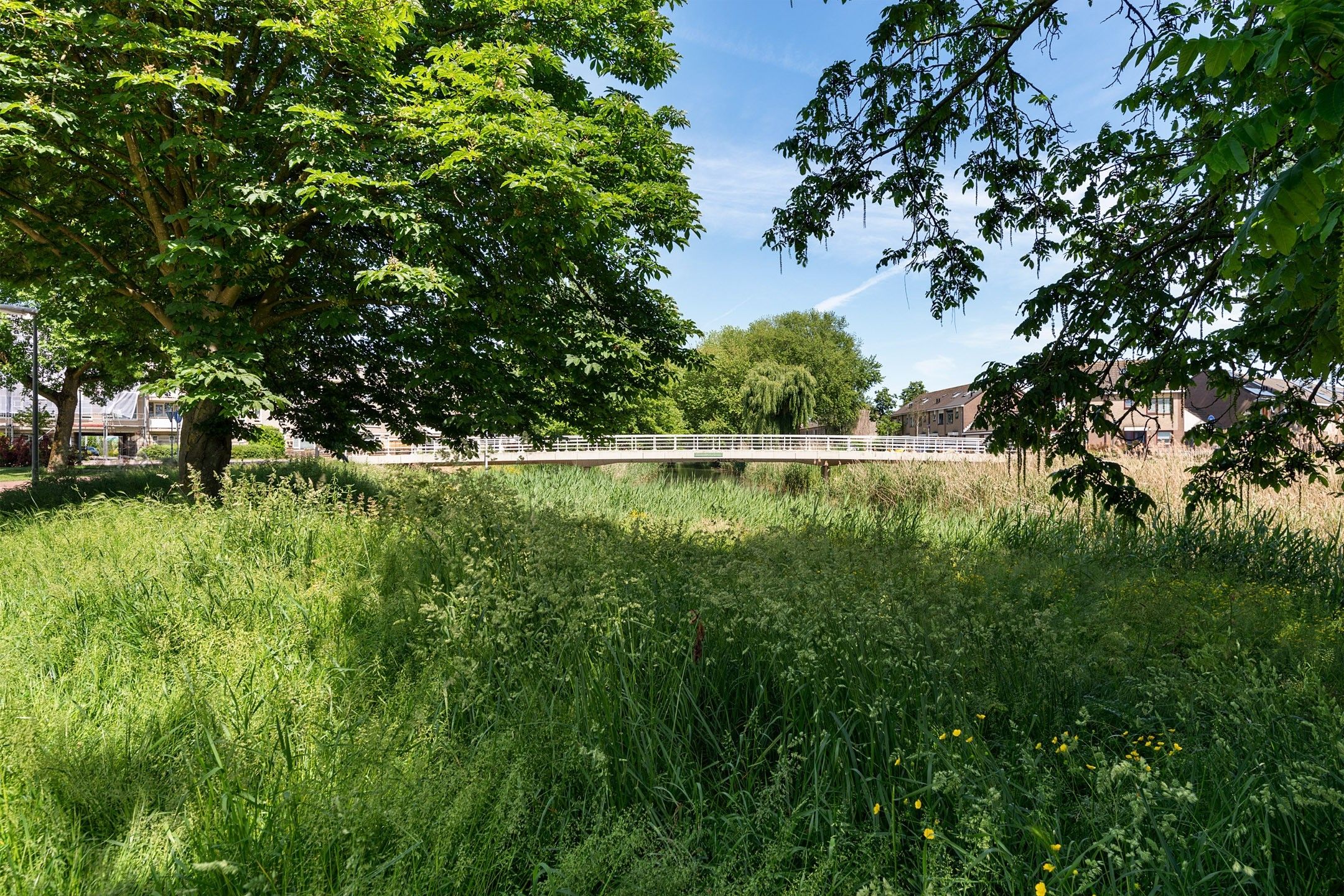 Foto 42 van Rimsky-Korssakovweg 109