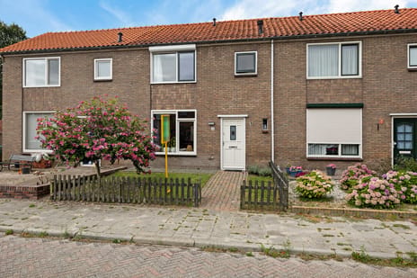 Geert Teisstraat thumbnail