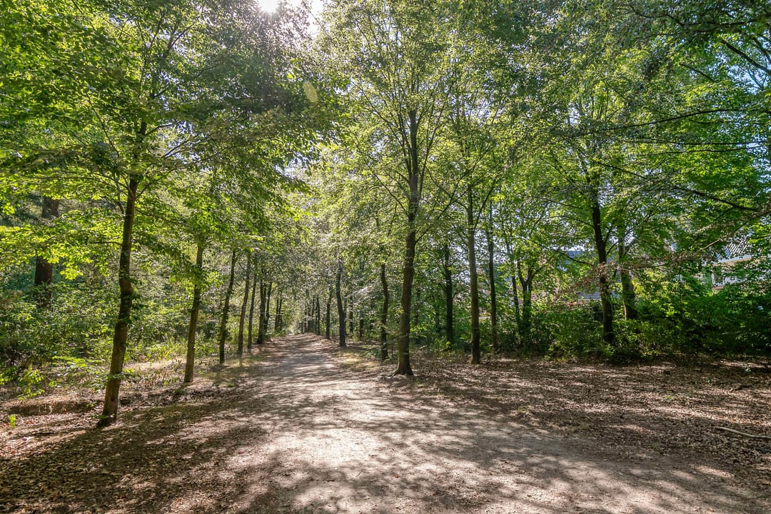 Photo 37 of Rutger Loenenweg 62