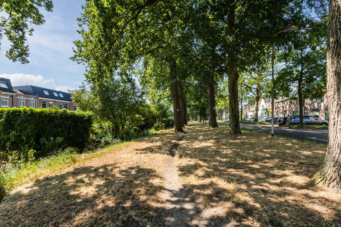 Foto 4 van Zwarteweg 3