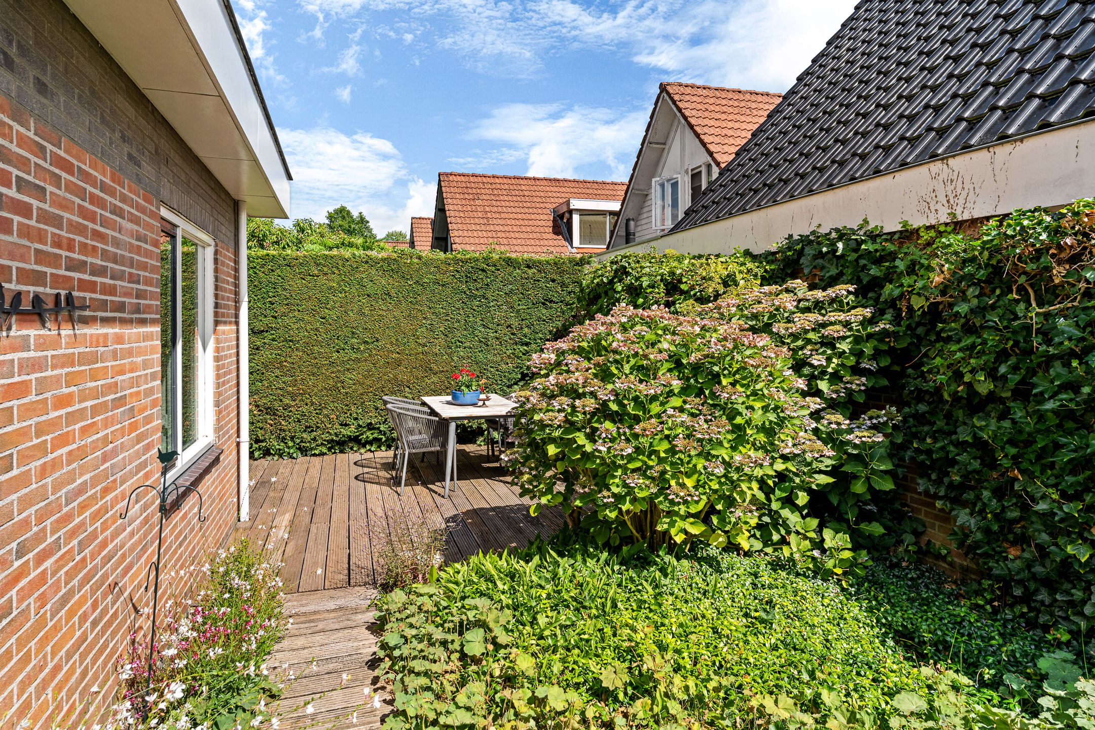 Foto 45 van De Rival 16