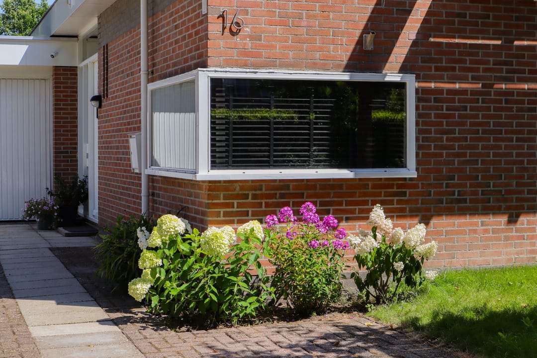 Foto 37 van De Rival 16