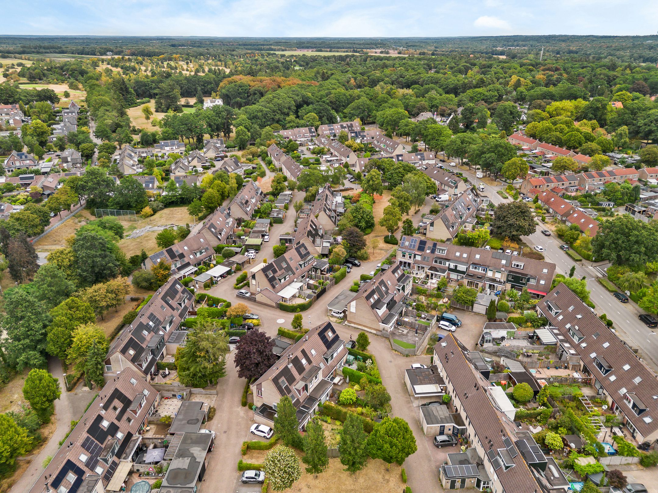 Photo 48 of Tamboer 147