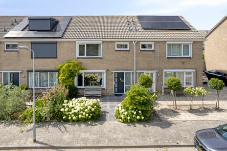 Frans Naereboutstraat thumbnail