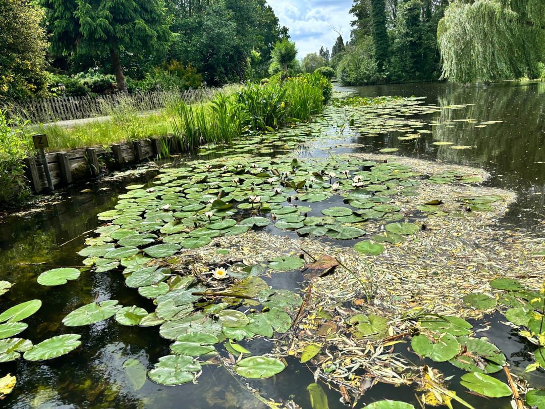 Foto 41 van Krimkade 2-D