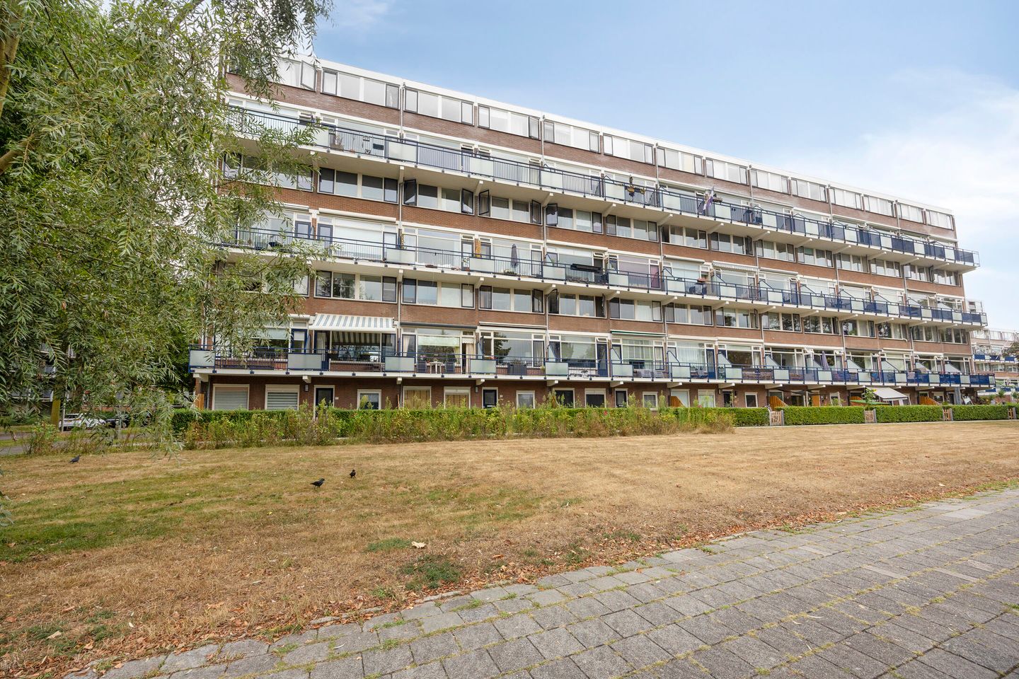 Photo 5 of Obrechtstraat 287