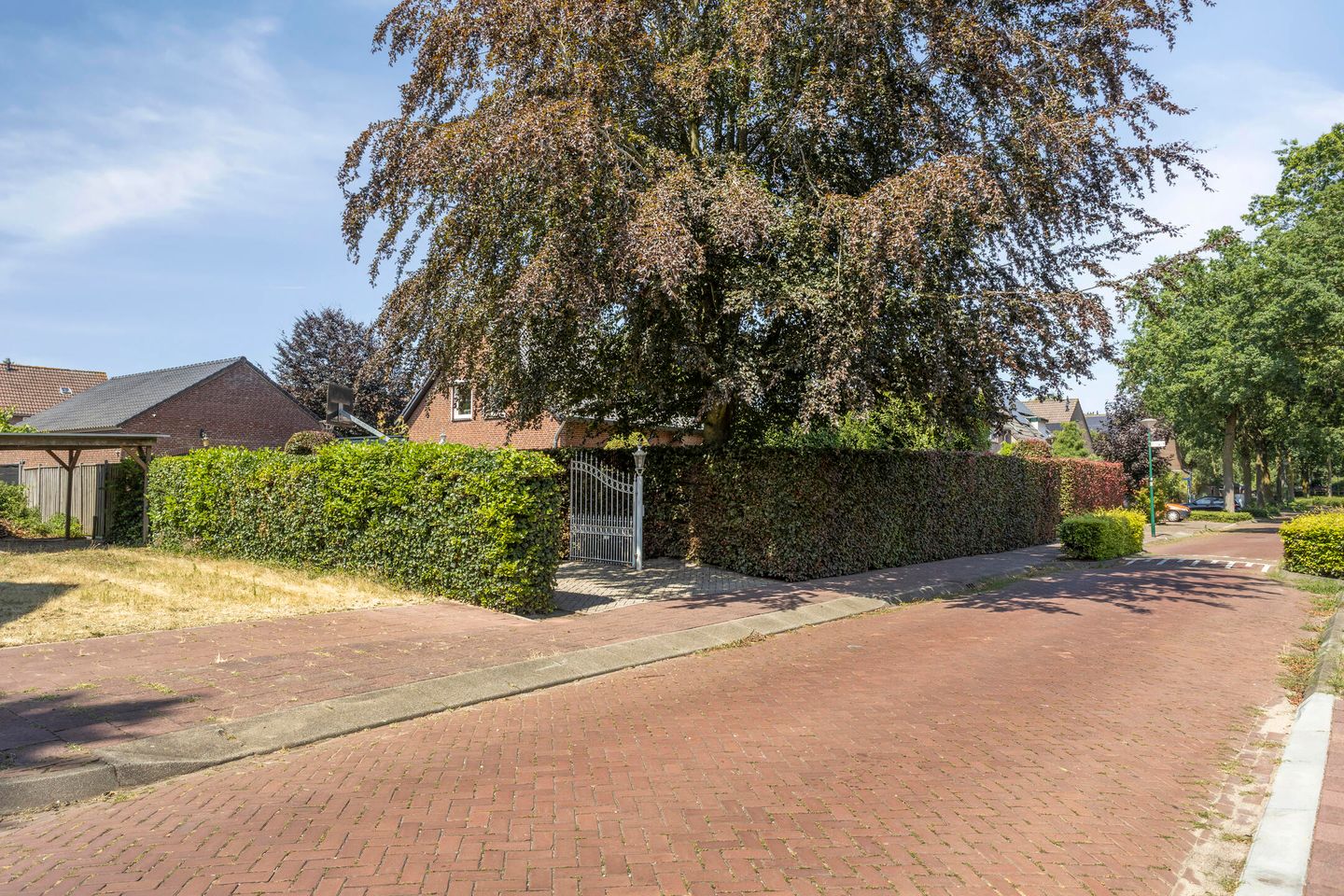 Foto 5 van Nimrod 17