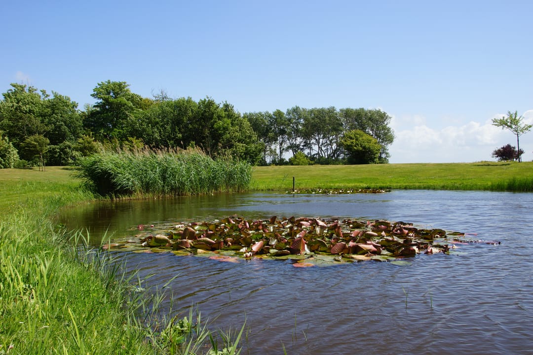 Photo 41 of Veldzigt 60