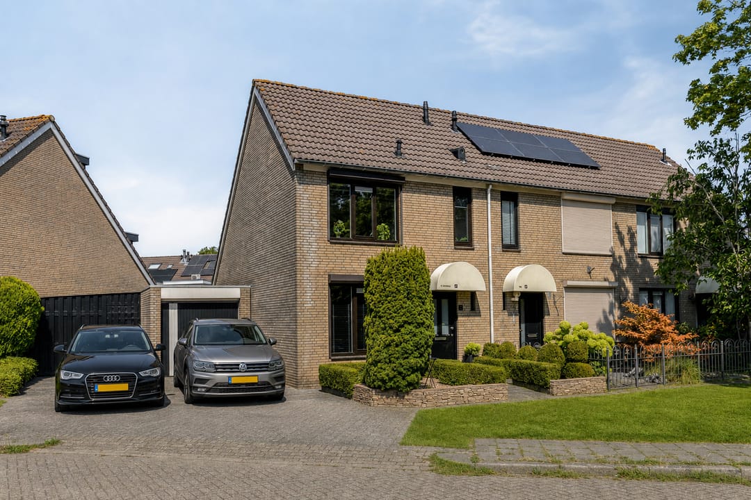 Foto 1 van Scholekster 6