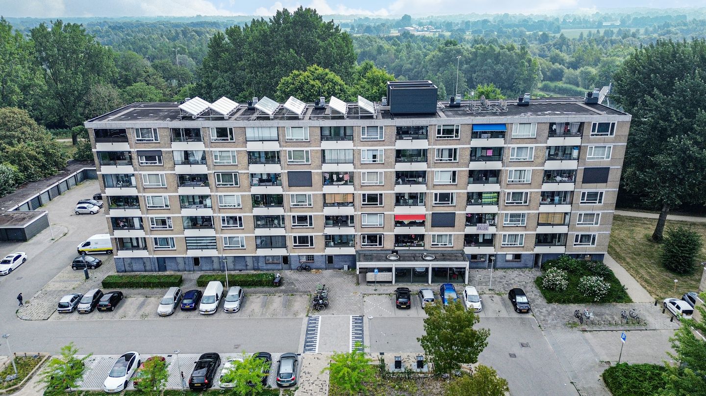 Photo 5 of Ariaplein 56