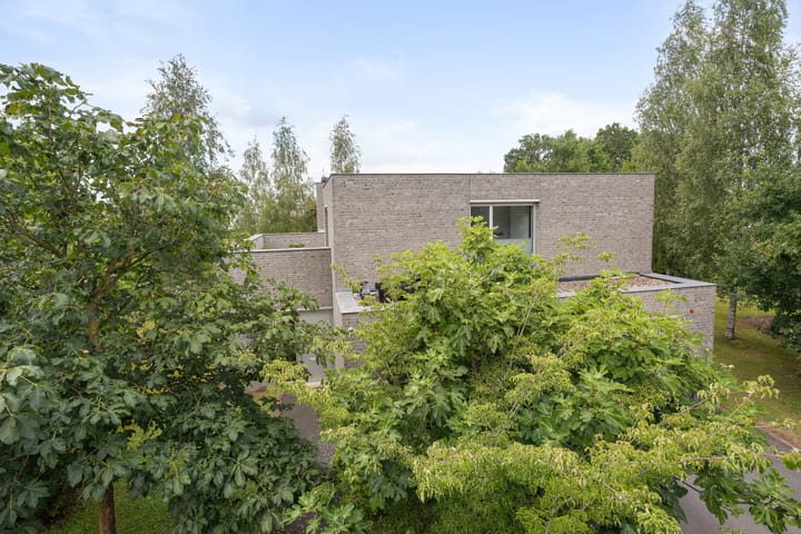 Foto 4 van Bosfazant 18