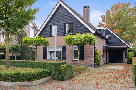 Celsiuslaan thumbnail