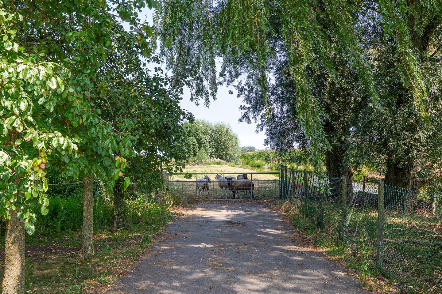 Foto 5 van Cattenbroekerdijk 52