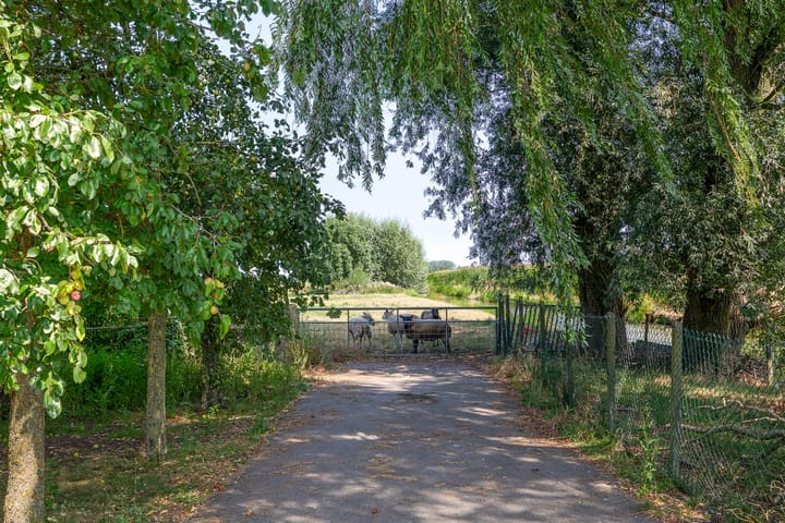 Vrijstaande woning te koop: Cattenbroekerdijk 52, Linschoten