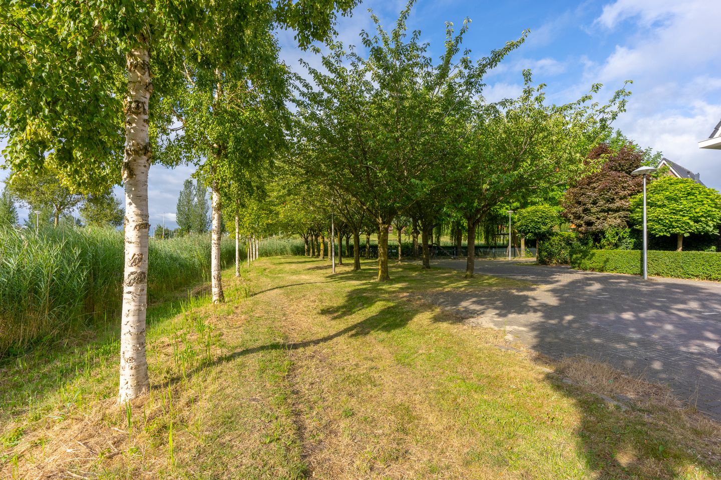 Photo 55 of Beemdgrassingel 32