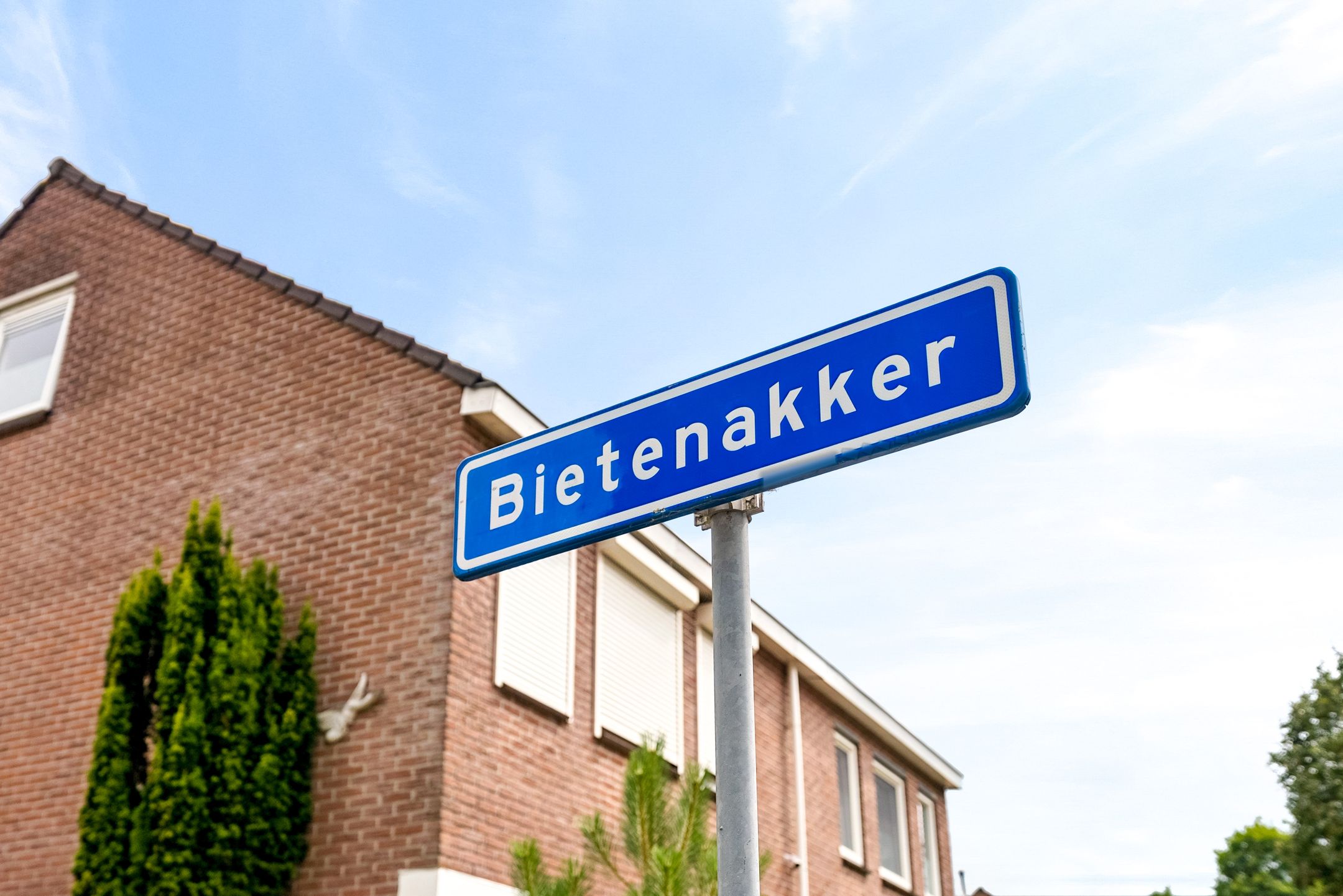 Foto 57 van Bietenakker 29