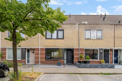 Zilverschoon thumbnail