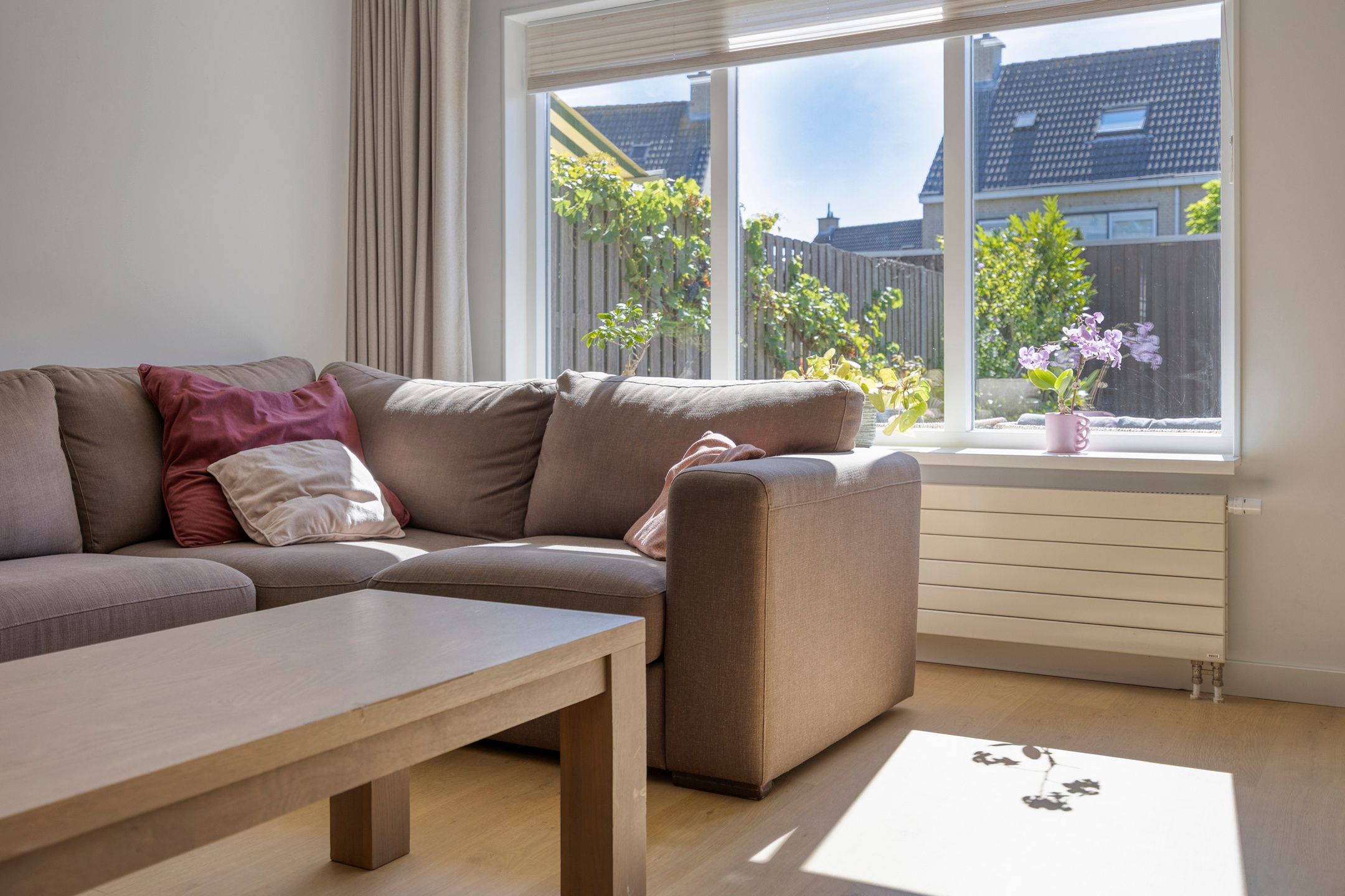 Foto 6 van Gele Varaan 43