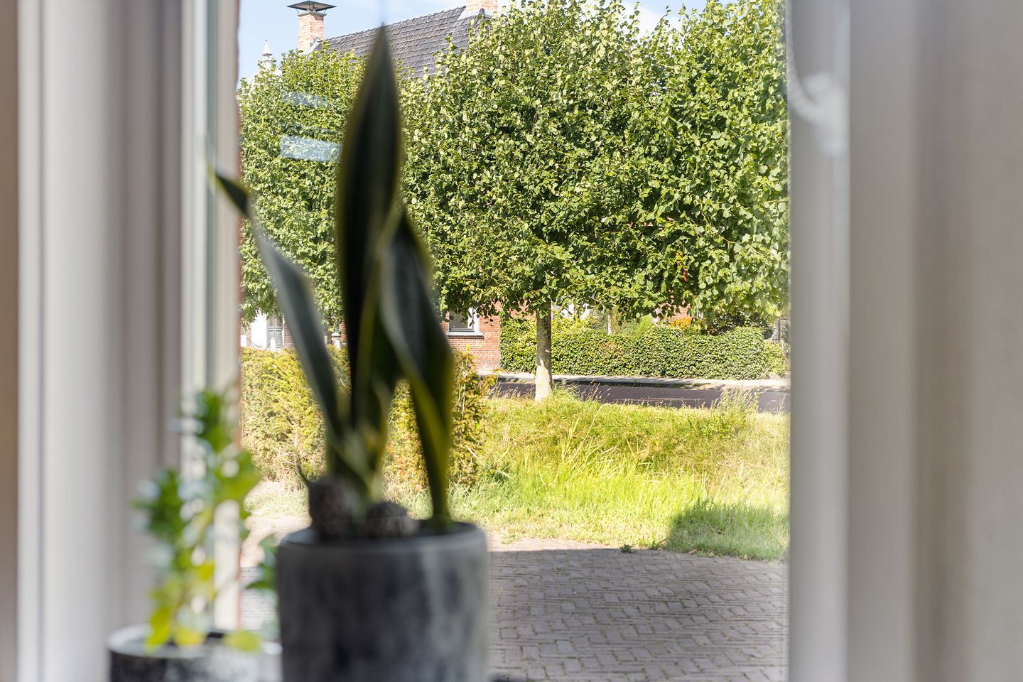 Foto 4 van Schipsloot 27