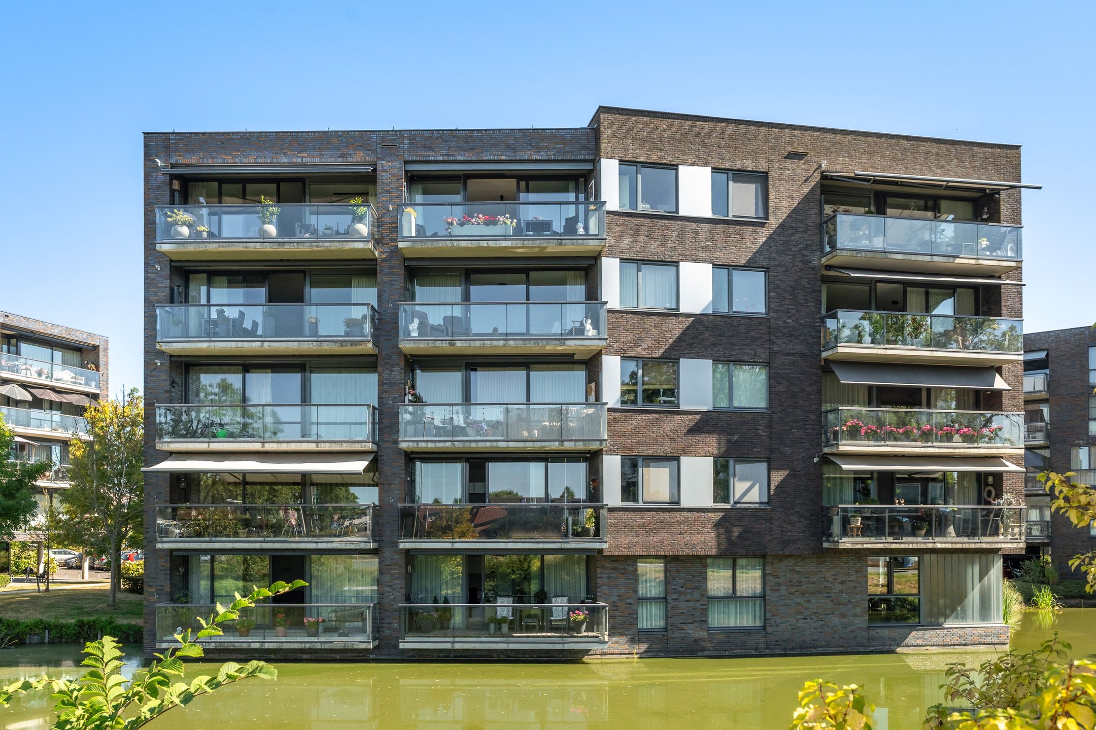 Waterlelie 90 