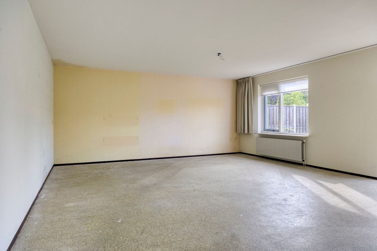 Foto 10 van Pijlkruid 9