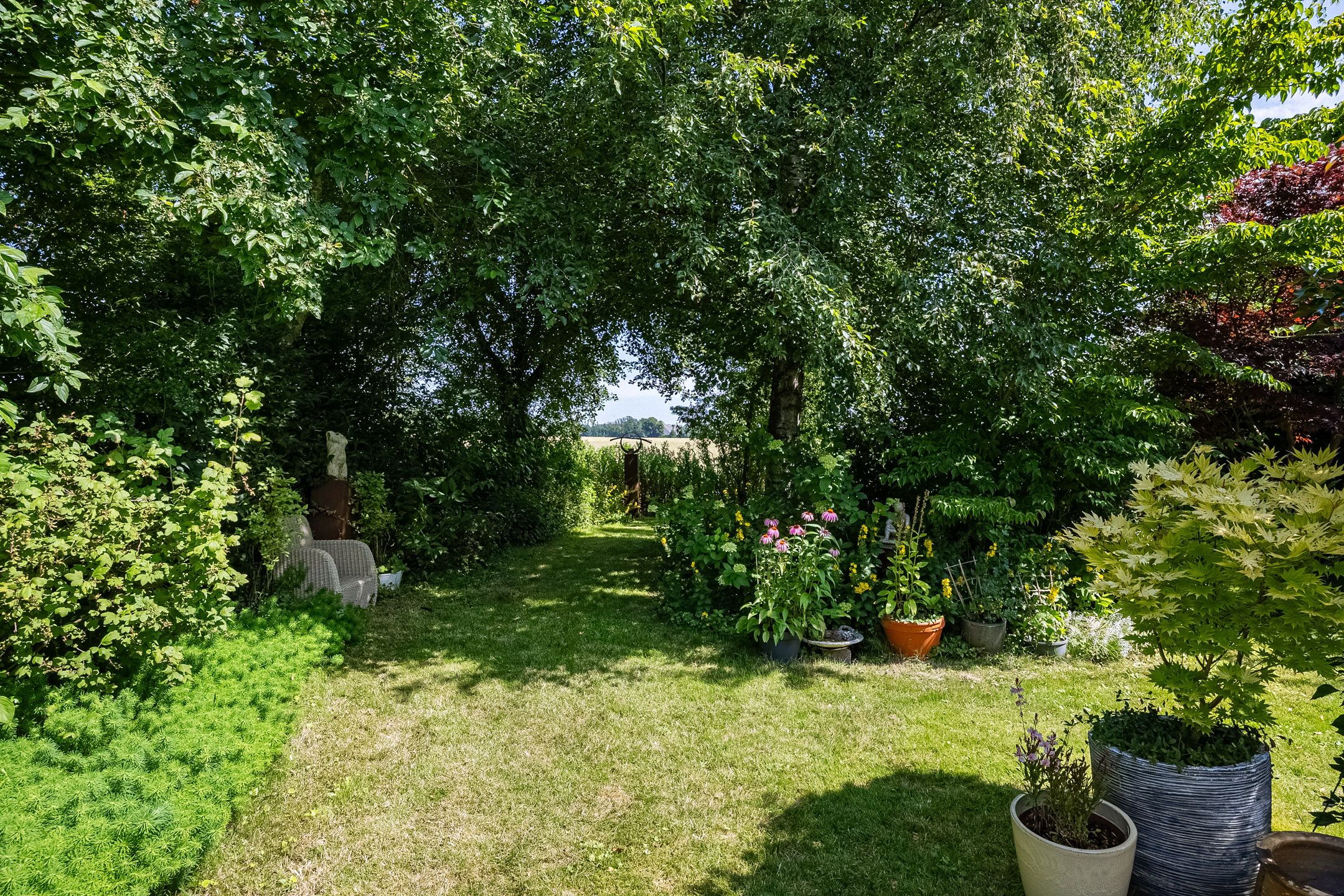 Foto 51 van Wijmersweg 81