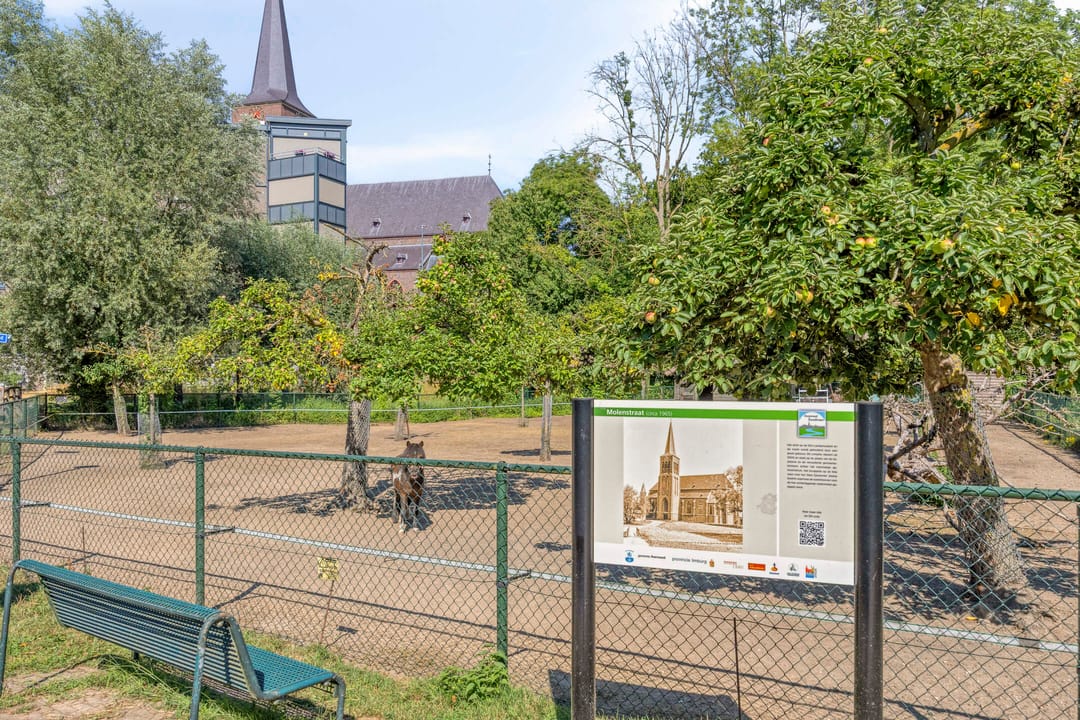 Photo 67 of Molenstraat 7