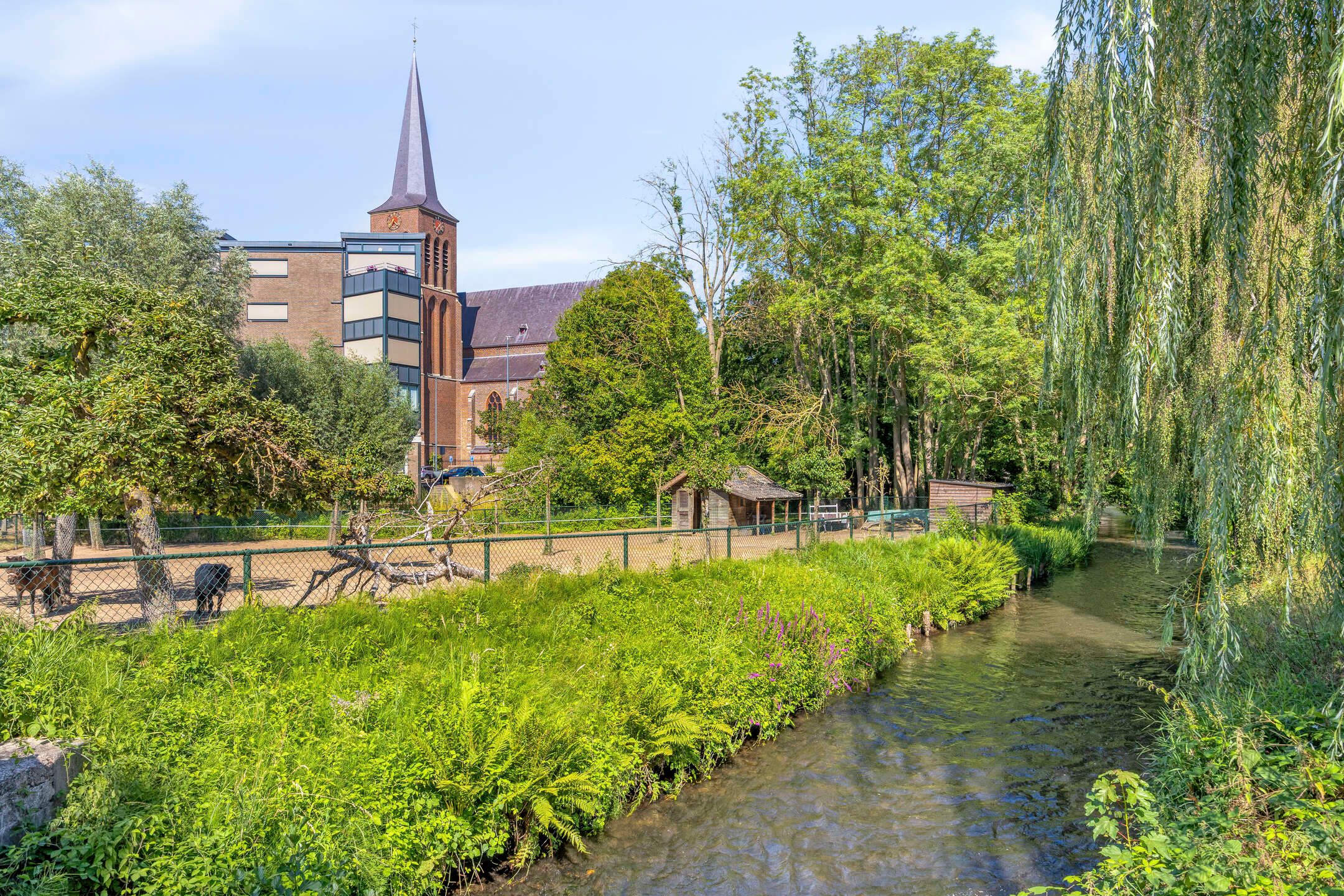 Photo 66 of Molenstraat 7