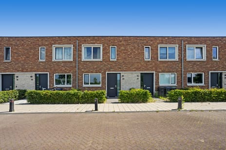 Trota van Salernostraat thumbnail