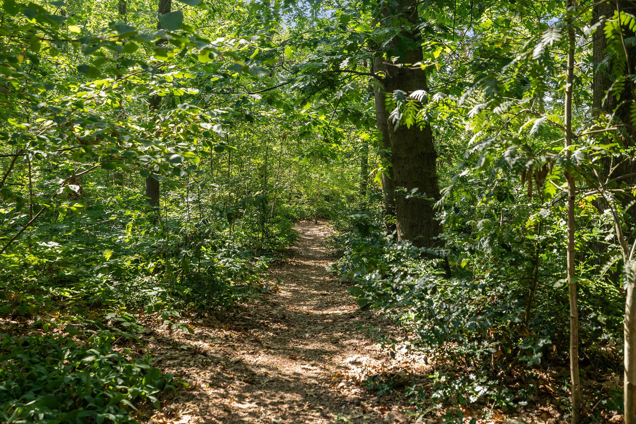 Photo 42 of Paltzerweg 185