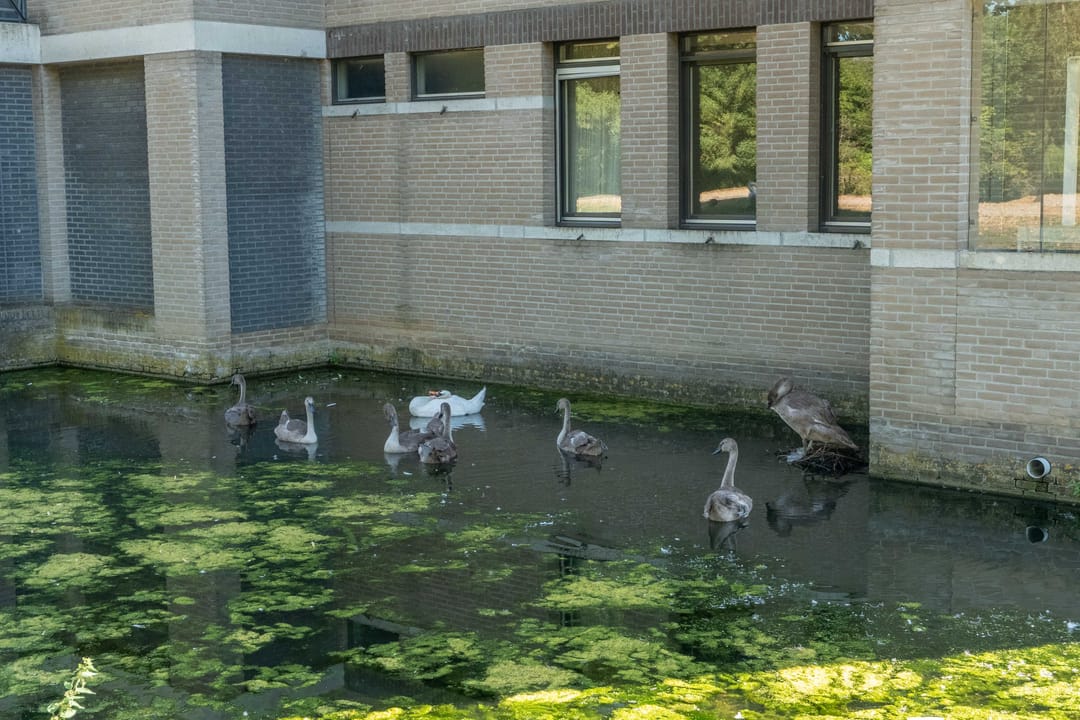 Foto 16 van Kasteel-Noord 96
