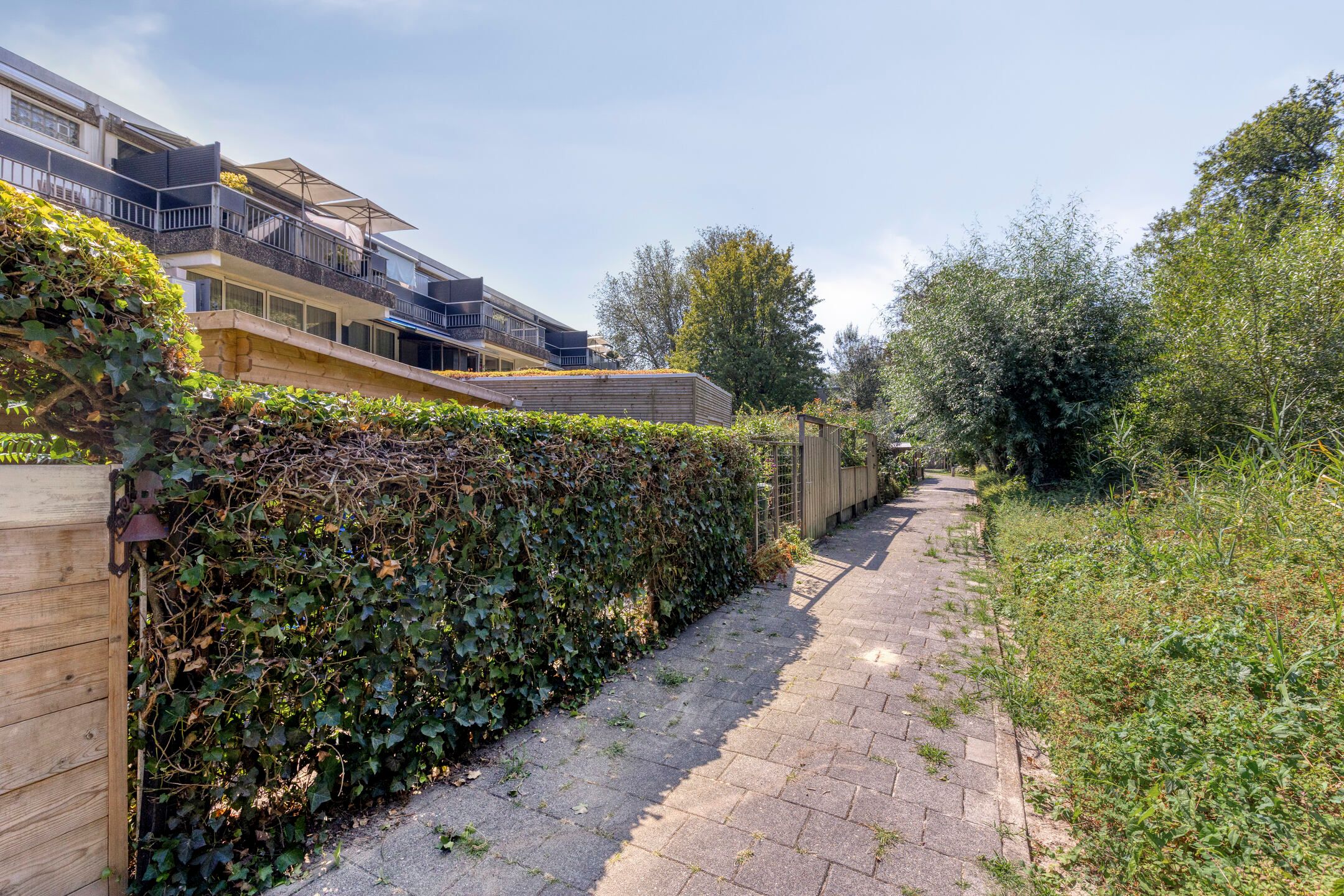 Photo 33 of Boomstede 363