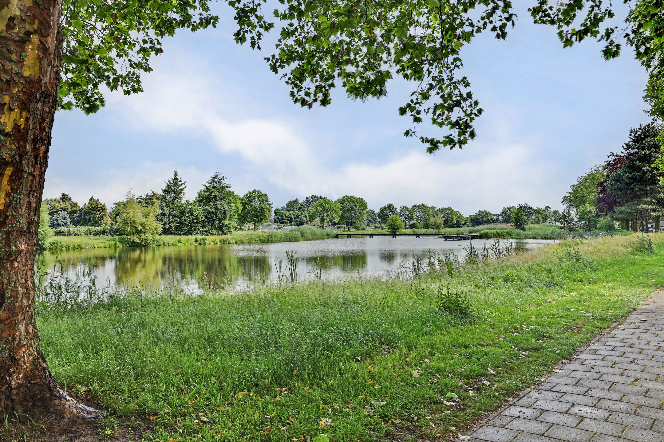 Photo 42 of Costerlaan 1