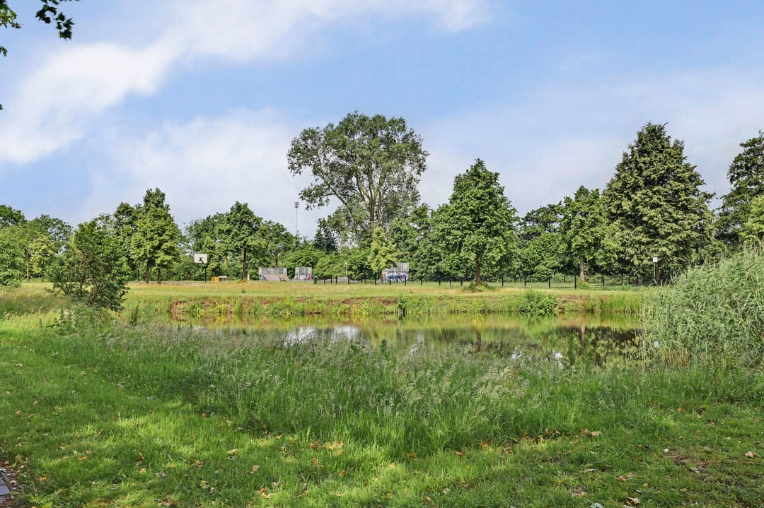 Photo 43 of Costerlaan 1