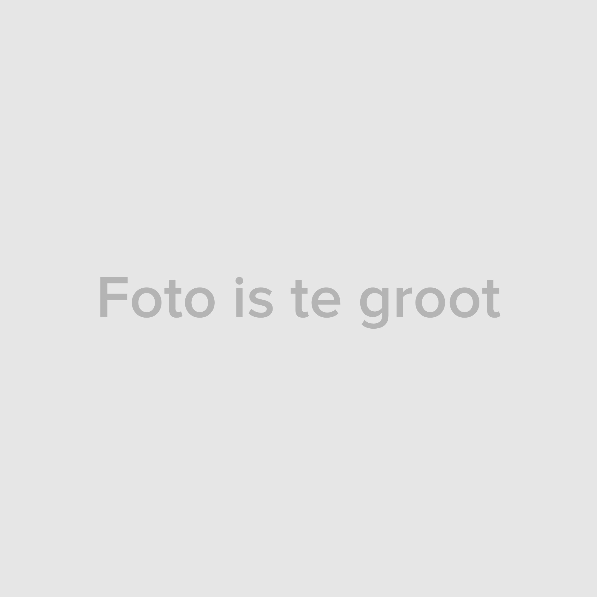 Foto 72 van Rudolf Heyligersstraat 10