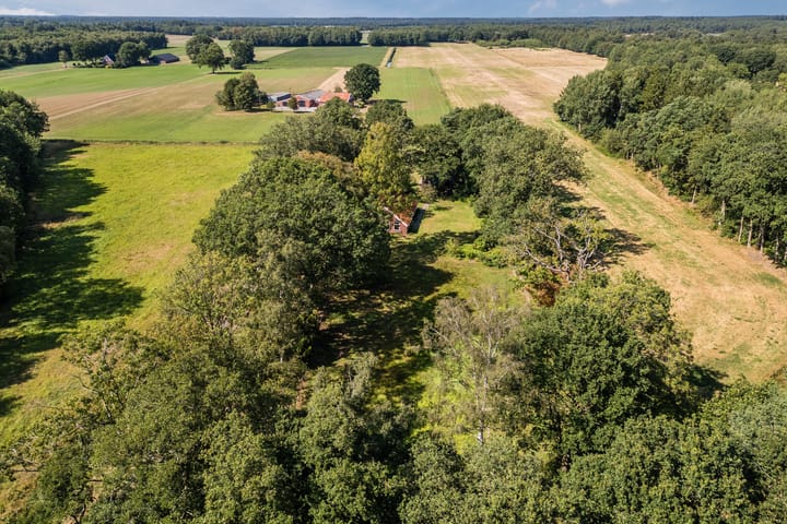 Foto 4 van Borgerweg 12